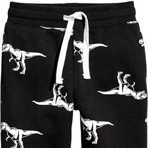 Pantalones de dinosaurios